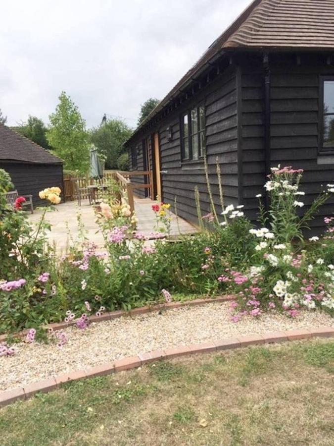 Orchard Cottage カンタベリー エクステリア 写真